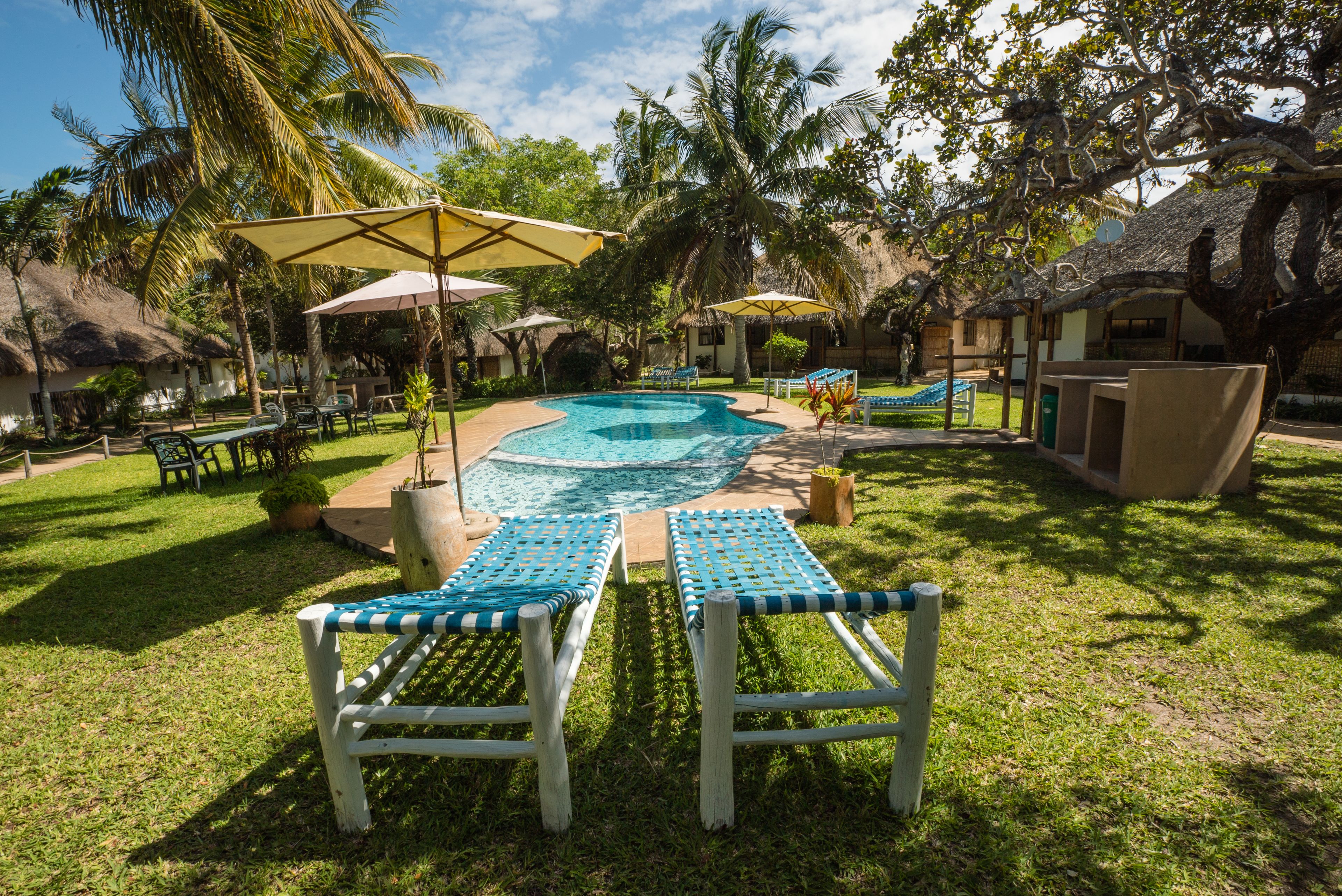 Outdoor pool, sun loungers
