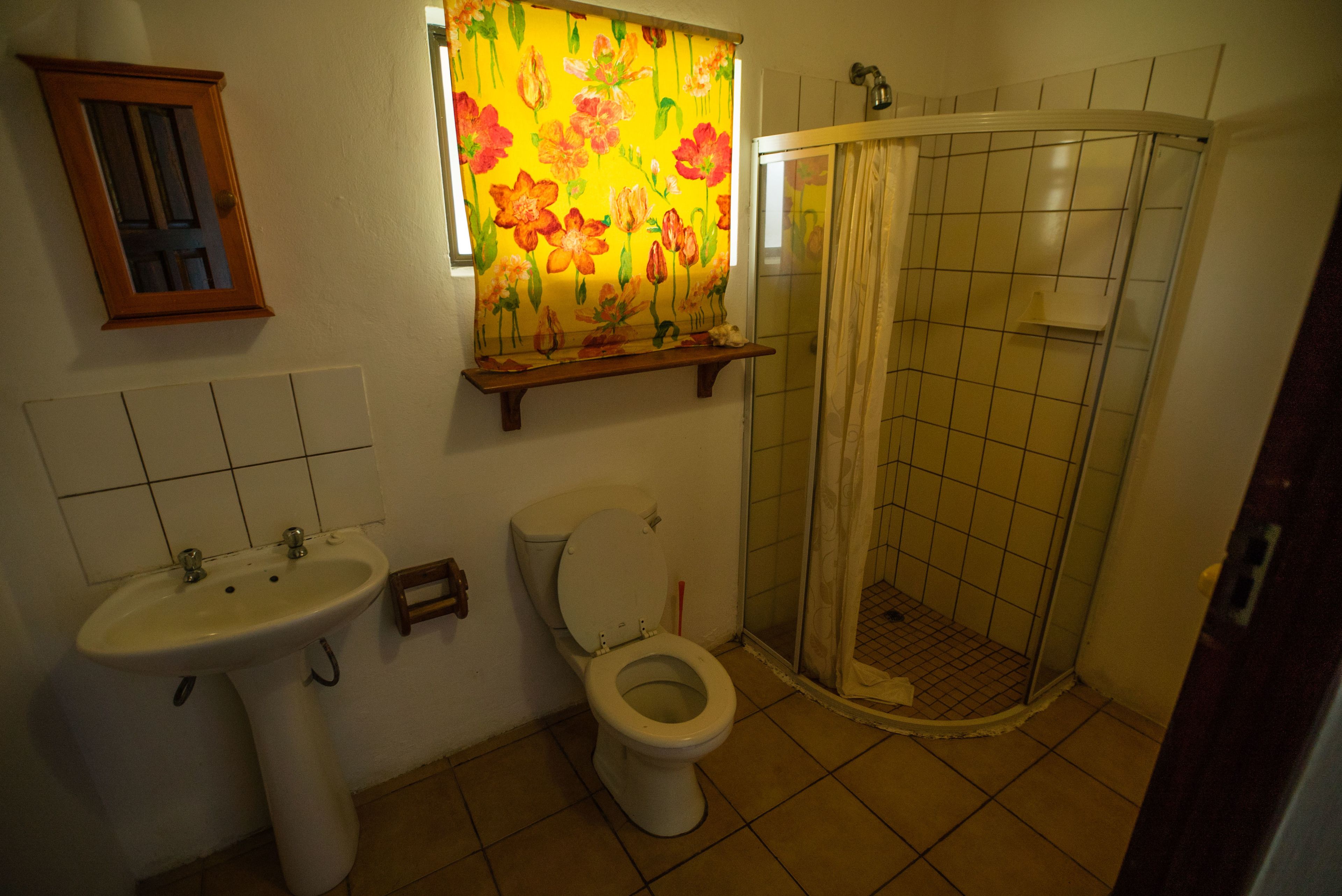 A bathroom with a toilet, sink, shower, and a window with floral curtains.