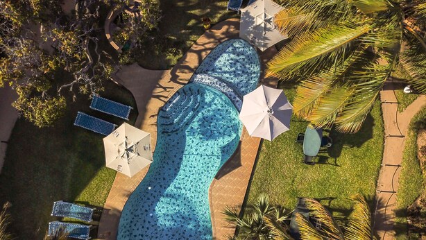 Luchtbeeld van een zwembad met een groot mozaïekzwembad, ligbedden, parasols en palmbomen.