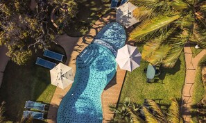 An aerial view of a pool area with a large mosaic pool, lounge chairs, umbrellas, and palm trees. - Vila La Mar (Vilanculos)