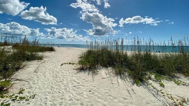 Ein sandiger Strand mit spärlicher Vegetation und wolkenlosem, blauem Himmel.