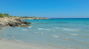 靠近海滩、帆板运动、冲浪运动/趴板冲浪、钓鱼