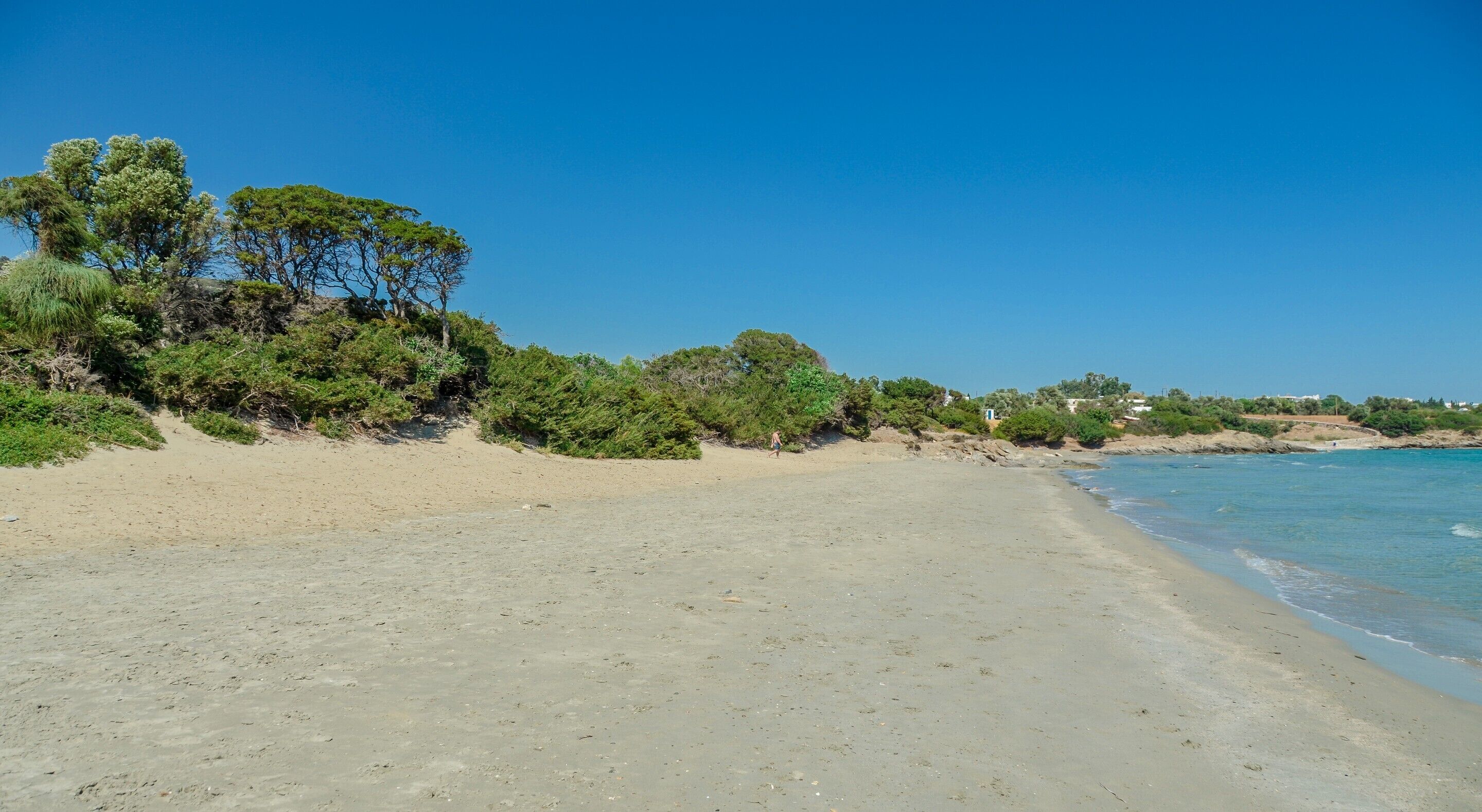 Uma praia arenosa com vegetação densa e céu azul claro.