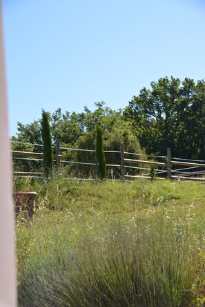 A rural landscape with a wooden fence, tall grass, and trees in the background. - Gite Nino near Vallon Pt d'Arc and the village of Barjac. (Barjac)