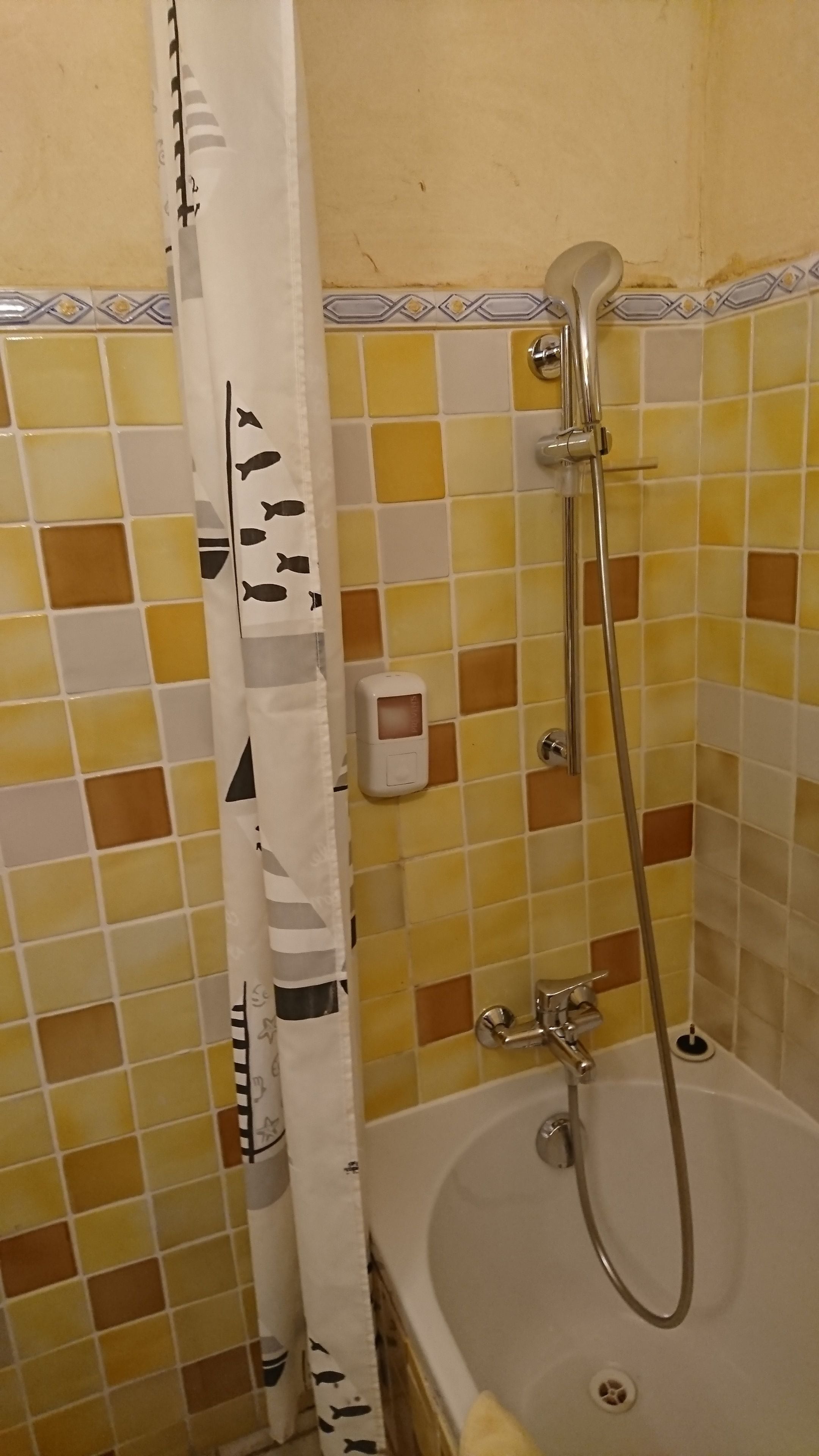 Une salle de bain équipée d’une baignoire, d’une douche et d’un distributeur de savon fixé au mur.