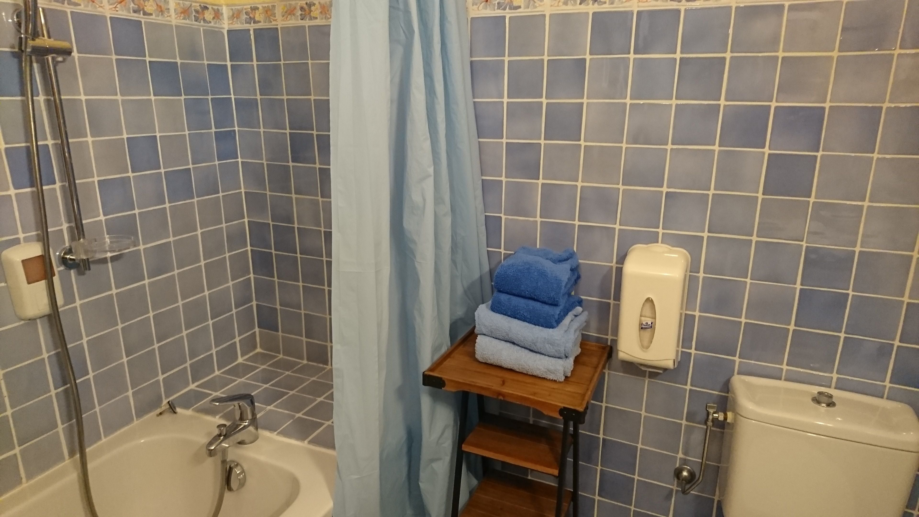 Kylpyhuone, jossa on kylpyamme, suihku, wc ja nestesaippua-annostelija.