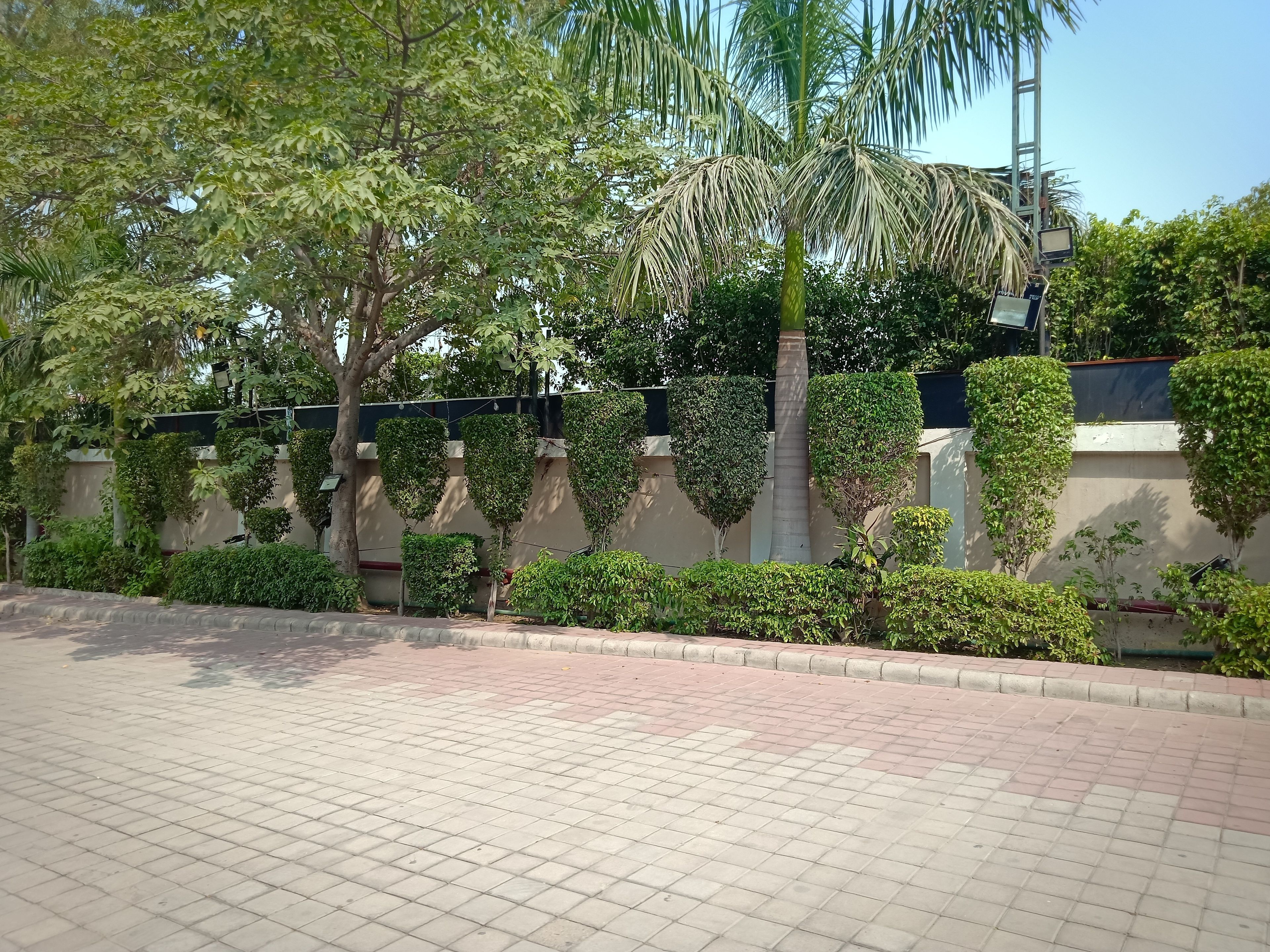 Jardín