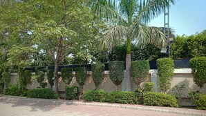 A paved walkway with a low wall and various plants, including a palm tree.