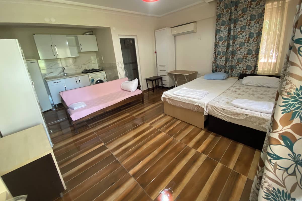 Economy Apartment, Kitchenette