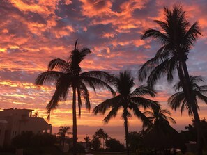 Ein Sonnenuntergang mit silhouettierten Palmen vor einem leuchtenden Himmel, einem Gewässer und einem Gebäude im Vordergrund.