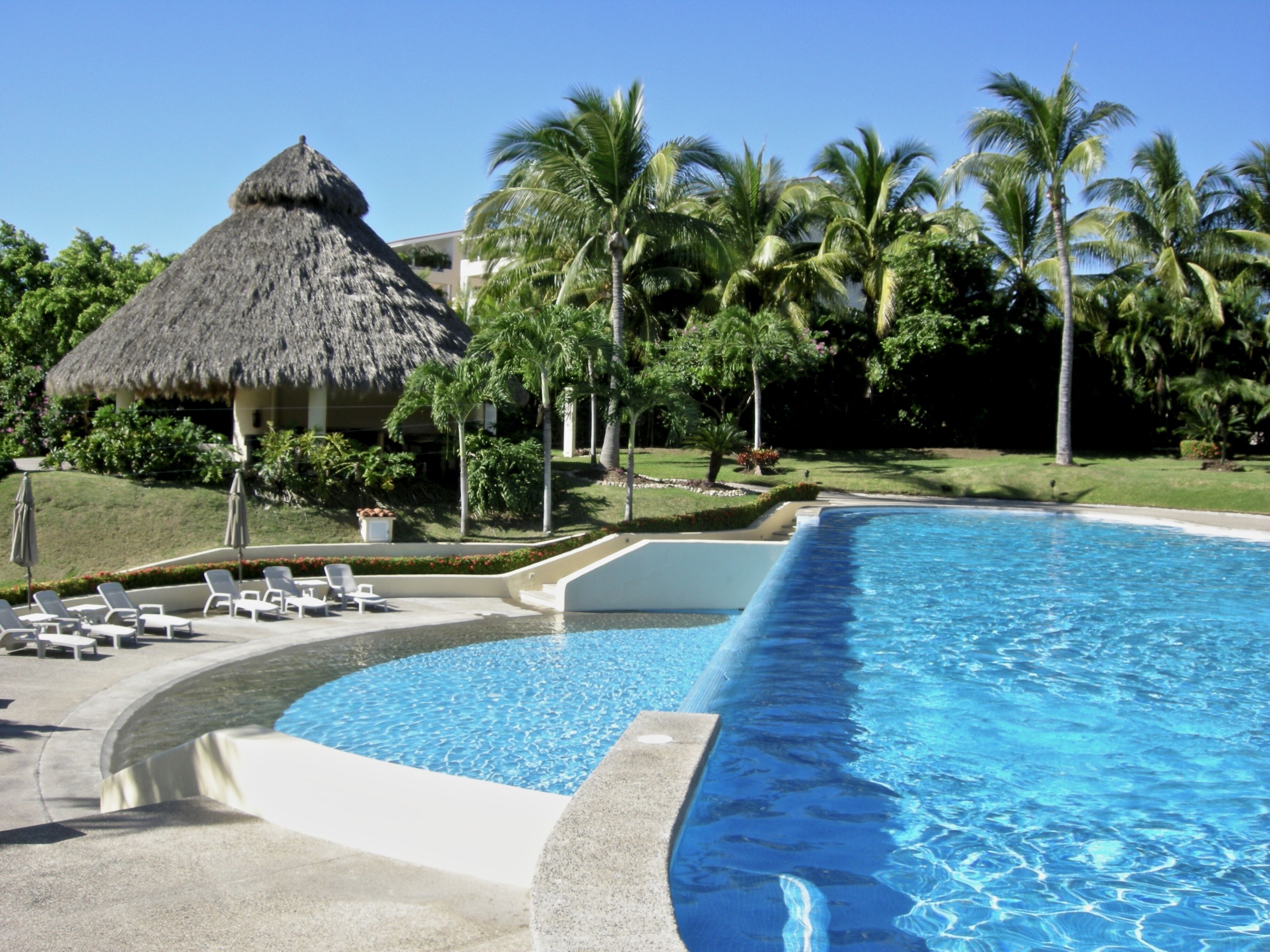 A swimming pool with lounge chairs, a thatched-roof structure, and palm trees.