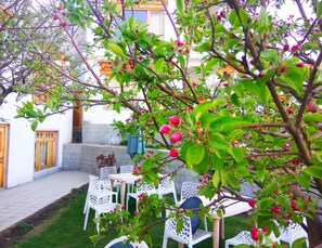Garden view - Leh Stumpa (Leh)