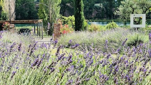 Ein Garten mit Lavendelfeldern, einer Laube und einem See im Hintergrund.