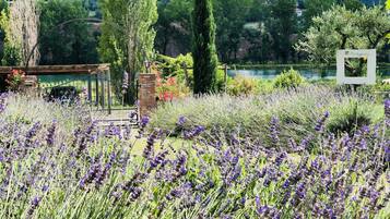 Áreas de la propiedad