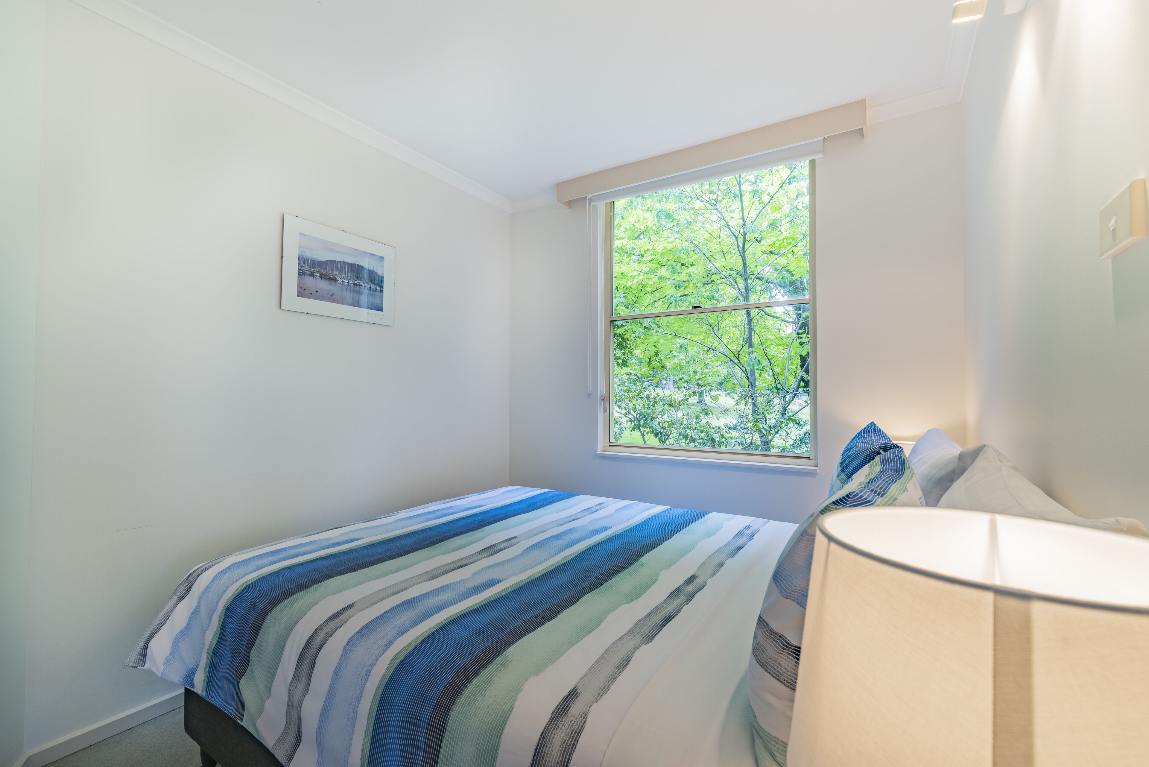 Spacious Salamanca apartment  — image 7