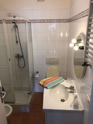 Regadera y secadora de cabello 