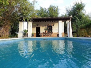 Outdoor pool - Delightful villa, private pool, 20 mins Seville, 10 mins airport, semi-rural (Carmona (Sevilla))