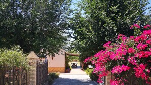 Un sendero conduce a un edificio con un muro de ladrillo y una puerta metálica, rodeado de abundante vegetación y flores rosadas.