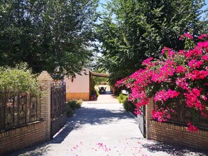 Property grounds - Delightful villa, private pool, 20 mins Seville, 10 mins airport, semi-rural (Carmona (Sevilla))