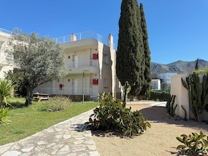 A building with a stone pathway, cacti, and a tall tree.