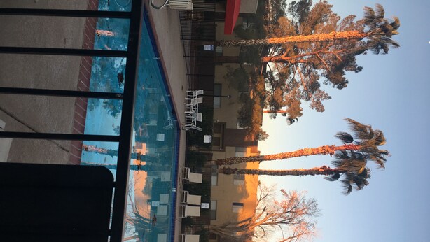 A view of a swimming pool with a clear sky and trees in the background.