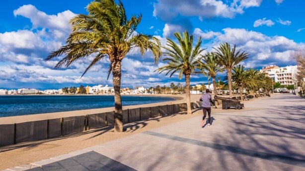 Une promenade en bord de mer bordée de palmiers, un ciel dégagé et une personne qui se promène.