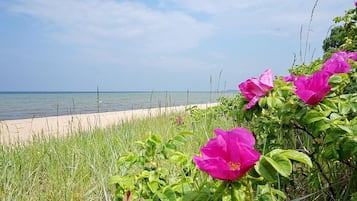 Beach nearby, sun-loungers
