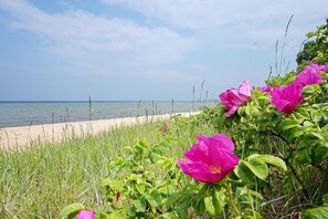 Beach nearby, sun-loungers - Family friendly thatched cottage with 2 bedrooms, fireplace, trampoline & football goal (Zierow)