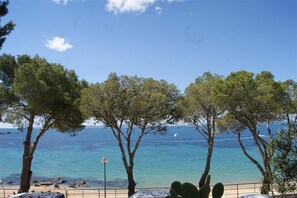 A coastal view with trees and a beach.