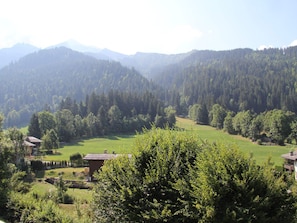 Ländliche Landschaft mit einem Haus, umgeben von grünen Feldern und dichtem Wald.