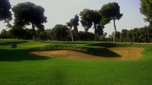 Ein Golfplatz mit gepflegtem Rasen, Sandbunkern und hohen Bäumen.