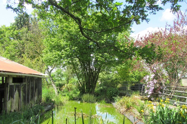 Terrein van de accommodatie