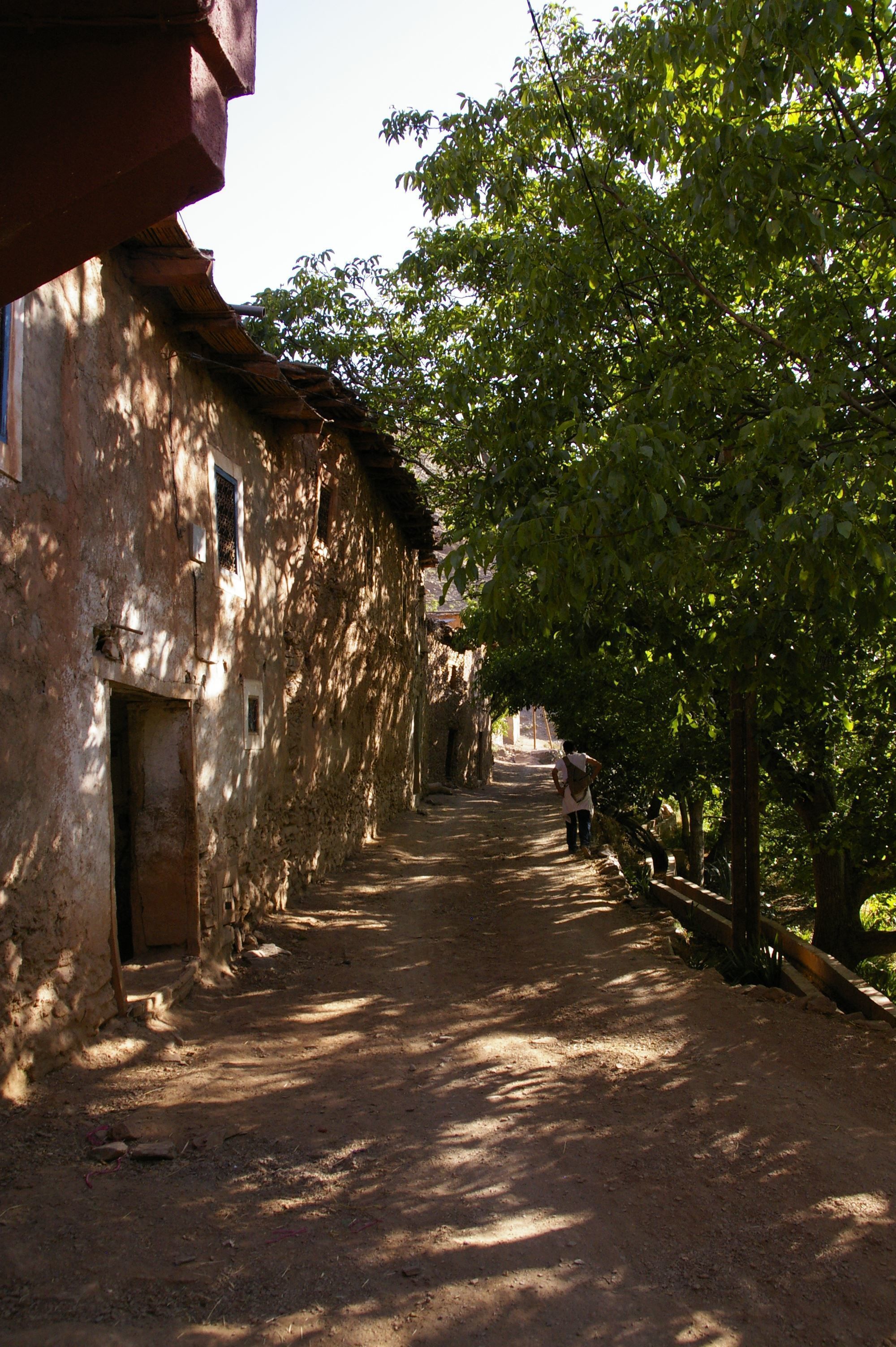 A narrow, tree-lined street with rustic stone buildings.