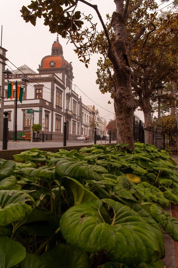 Overnattingsstedets uteområder