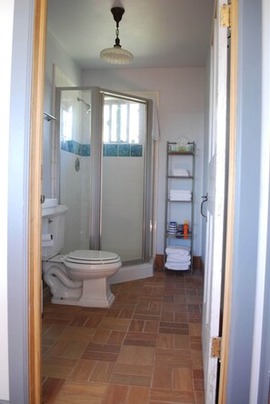 Ein Badezimmer mit Toilette, Dusche und Handtuchhalter.