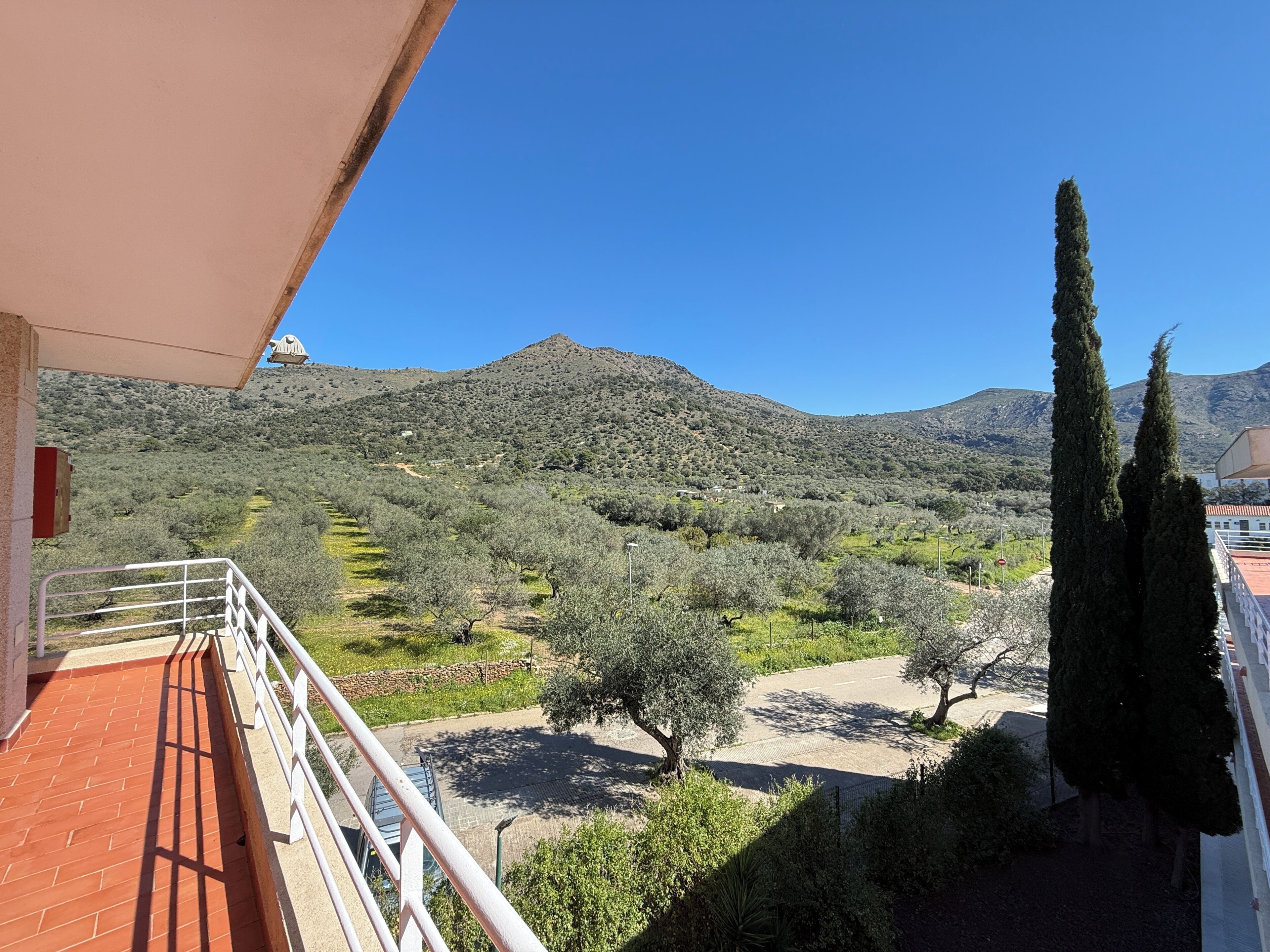 A balcony with a view of a mountainous landscape, olive trees, and a clear blue sky.