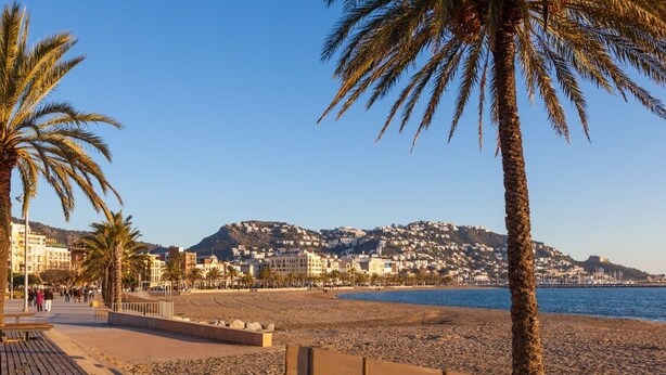 Una playa con palmeras, un paseo marítimo y edificios al fondo.
