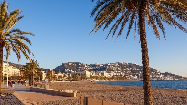 A beach with palm trees, a promenade, and buildings in the background. - Agi Gloria Rooms 304 Hostel for rent in Roses Girona. (Roses)