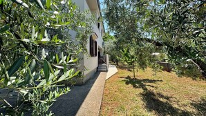 Un sendero conduce a un edificio blanco con un porche cubierto, rodeado de olivos y un césped.