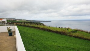 Une vue sur la côte, avec une zone herbeuse et quelques vaches qui paissent.