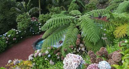 Sea and Sun Villa (Ground Floor)