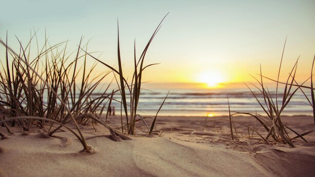 Een zandstrand met gras op de voorgrond en een ondergaande zon boven de oceaan op de achtergrond.