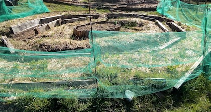 Zome espace d energie et vibratoire. LisiĂšre forĂȘt dans hameau en pleine nature