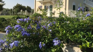 A two-story building with a balcony, surrounded by lush greenery and flowering plants. - DREAM HOLIDAY ON LAKE GARDA (Lazise)