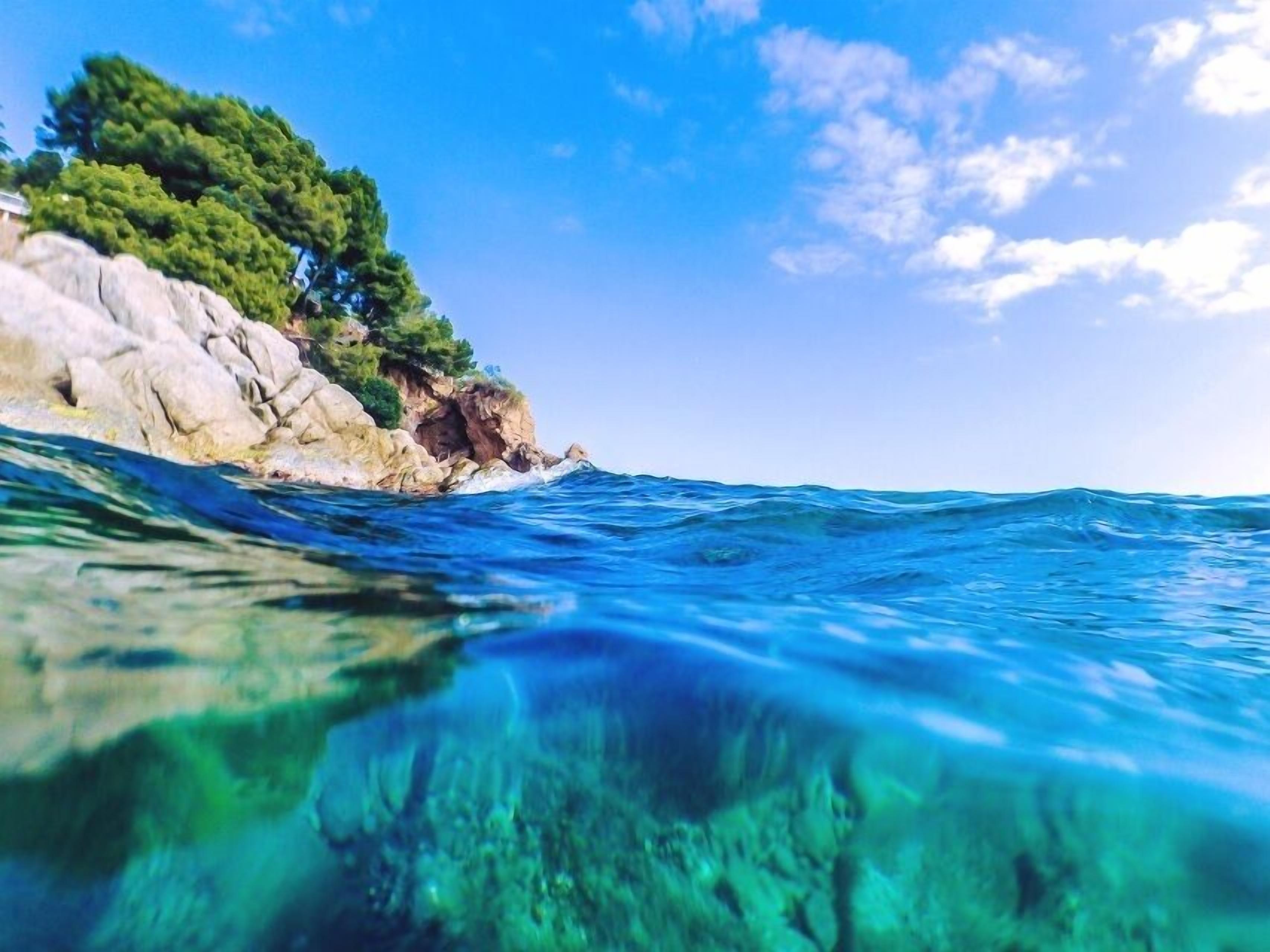Un paysage côtier avec une eau bleue et limpide, des falaises rocheuses et des arbres verdoyants.