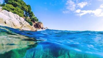 Un paysage côtier avec une eau bleue et limpide, des falaises rocheuses et des arbres verdoyants.