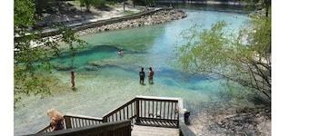 MARGARITAVILLE AN DEM SUWANNEE RIVER