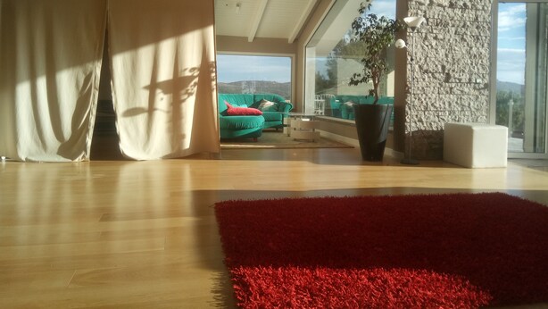 Un salon moderne avec une grande fenêtre, un tapis rouge et un canapé vert.