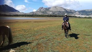 Une personne à cheval dans un champ, avec des montagnes en arrière-plan.