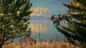 Un lac avec des arbres en arrière-plan.